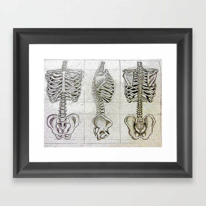 Bones Framed Art Print