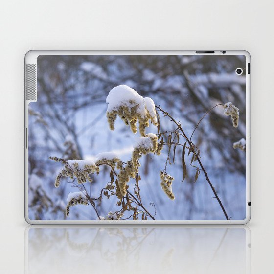 Winter Grass Laptop & iPad Skin