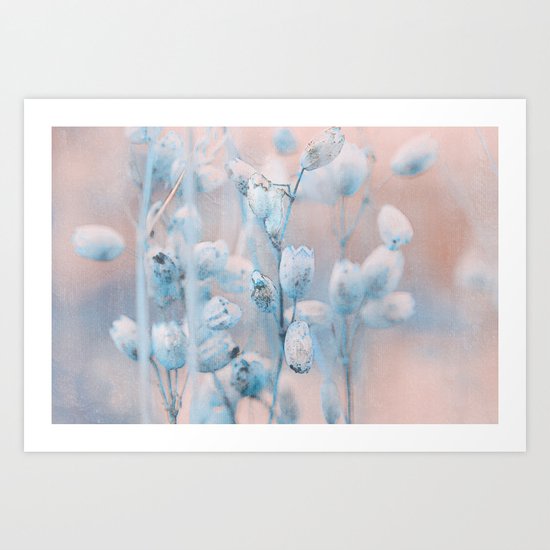 Wild flowers(winter) Art Print