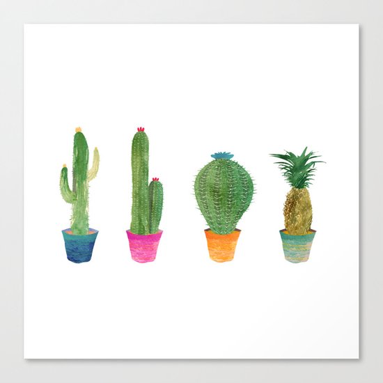 Cactus to Pineapple Canvas Print