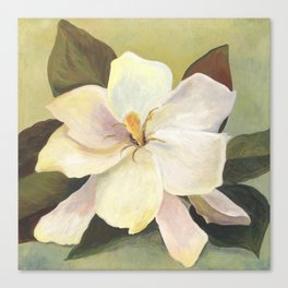 Southern Gardenia Canvas Print