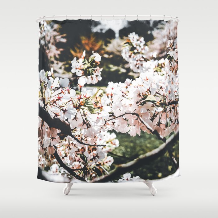 Cherry Blossom in Central Park New York Shower Curtain