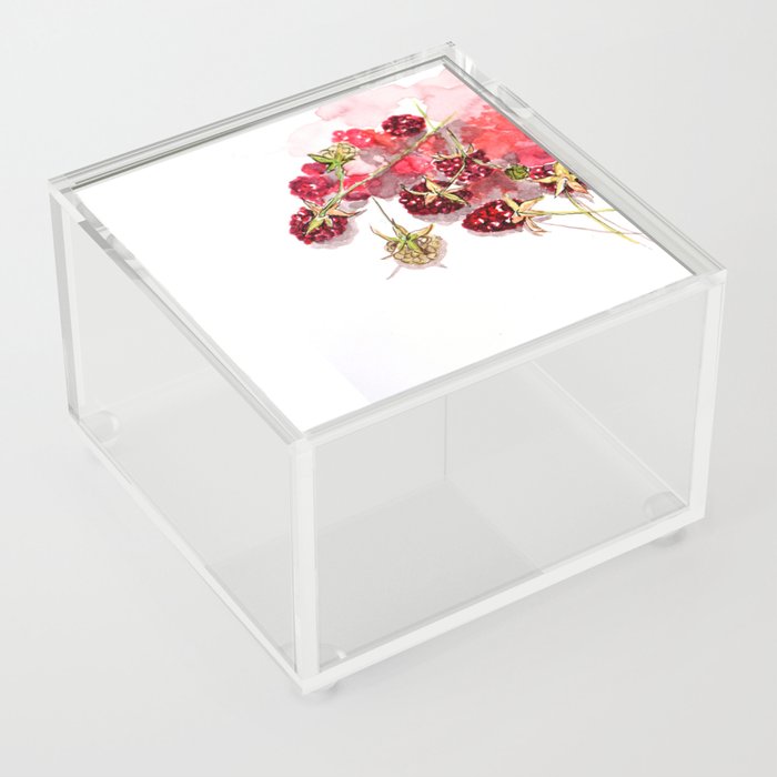 raspberries Acrylic Box