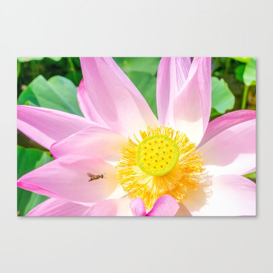 Tag You're It Canvas Print