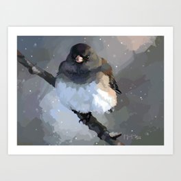 Snowbird Art Print