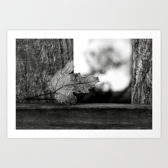 looking out Art Print