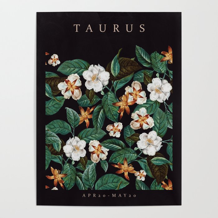 TAURUS II Poster