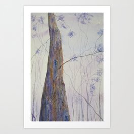 Lone Timber Art Print
