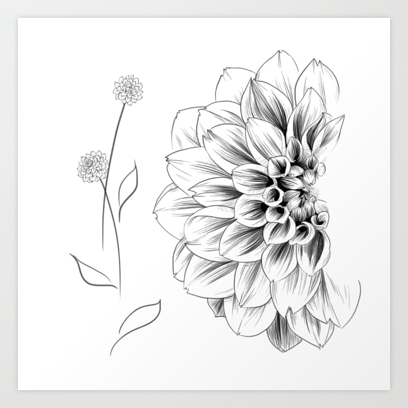 Half Dahlia Art Print By Nbinthassan Society6,Floral Designs Easy Simple Flower Border Drawing