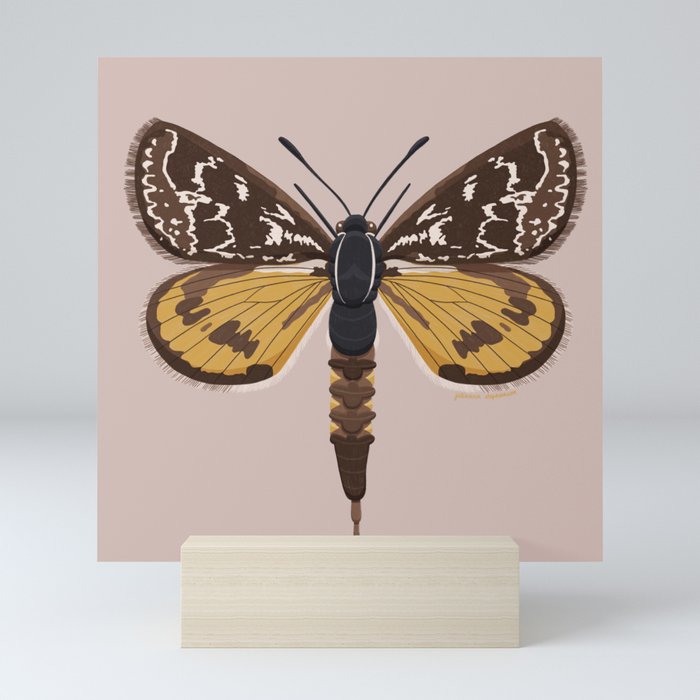 Golden Sun Moth Mini Art Print
