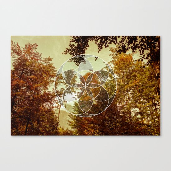 Autumn Meditation Canvas Print