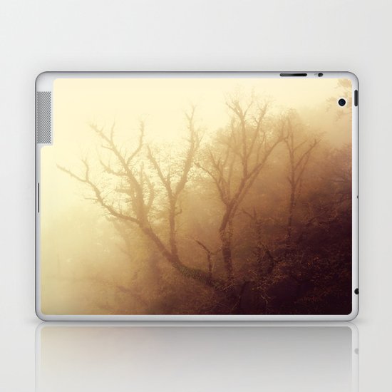 Mystic Laptop & iPad Skin