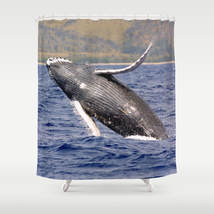 Humpback Whale Splashing Shower Curtain By Bravuraa Society6