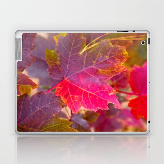 Fall Party Laptop & iPad Skin