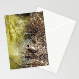 Red Eared Slider Turtle in Pond Stationery Card