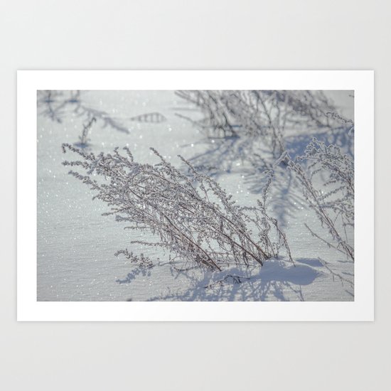 Winter grass Art Print