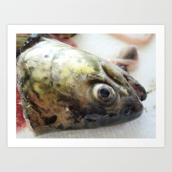 Passion of the Fish 01 Art Print