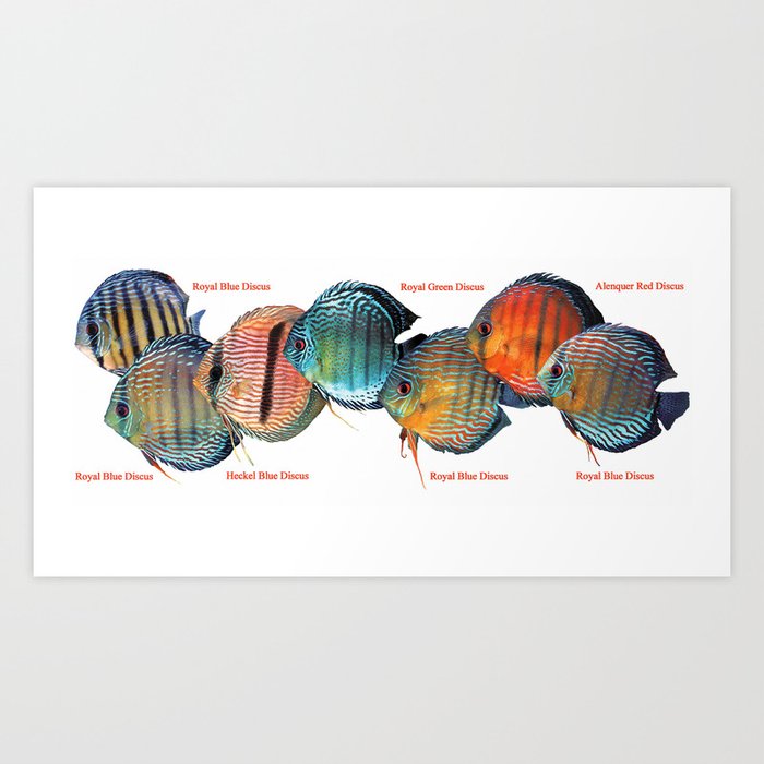 Art Print
