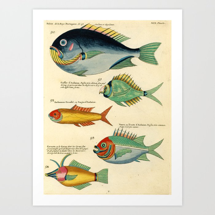 Fishes from Louis Renard's "Poissons, ecrevisses et crabes" (1754) Art Print