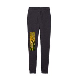Autumn Leaves - Tree leaves changing colour Kids Joggers