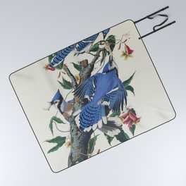 Blue Jay from Birds of America (1827) by John James Audubon etched by William Home Lizars Picnic Blanket
