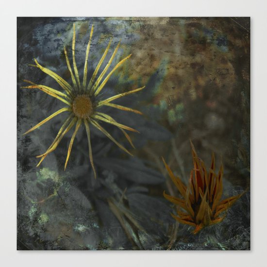 Abstract Flowers on my way - Flores abstractas en mi camino Canvas Print