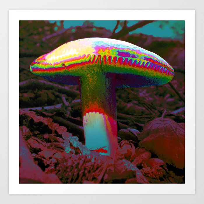 A Trippy Mushroom Art Print by pocketsoup | Society6