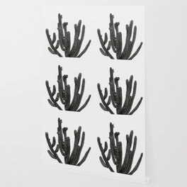 Black and White Cactus Wallpaper