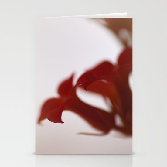 Red Stationery Cards