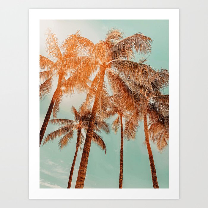 Surfrider palms - sundown Art Print