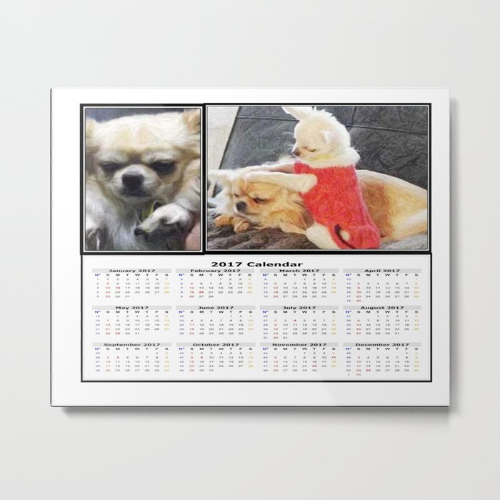 Gremlin Chihuahua and Funny Chihuahuas Calendar 2017 Metal Print