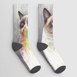 Cat Tastes the Grumpy Rainbow Socks