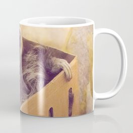Sloth in a Box Coffee Mug