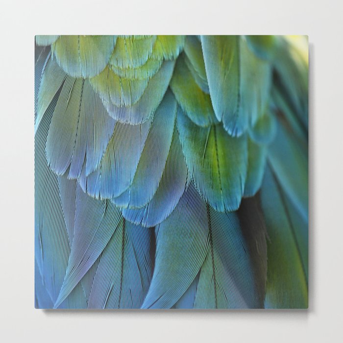 Blue Feathers #2 - Modern Photograph Metal Print