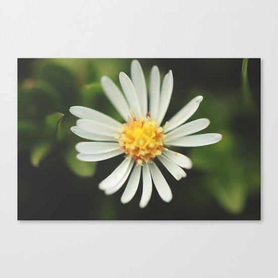 Radial Canvas Print