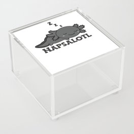 Napsalotl Axolotl Lovers Of Cute Animals Relax Acrylic Box