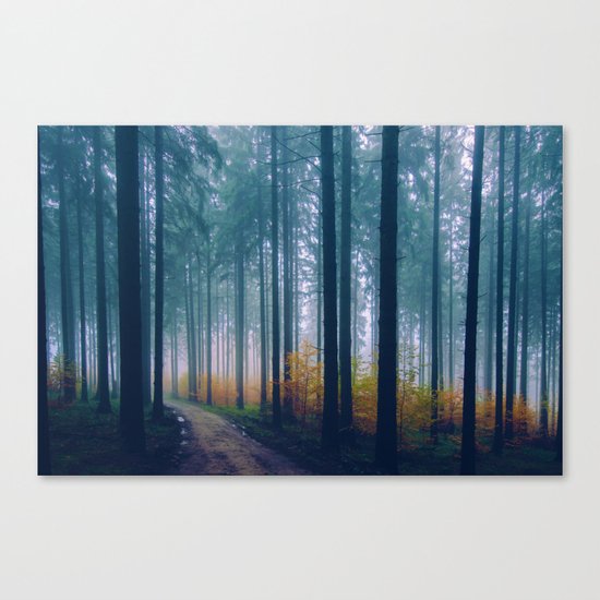 Go Your Own Way Canvas Print