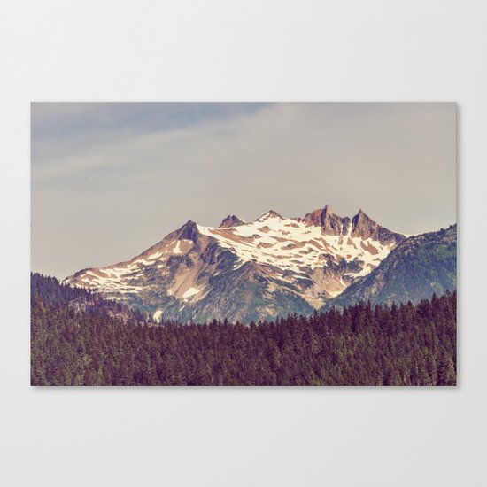 Vintage Cascades Canvas Print