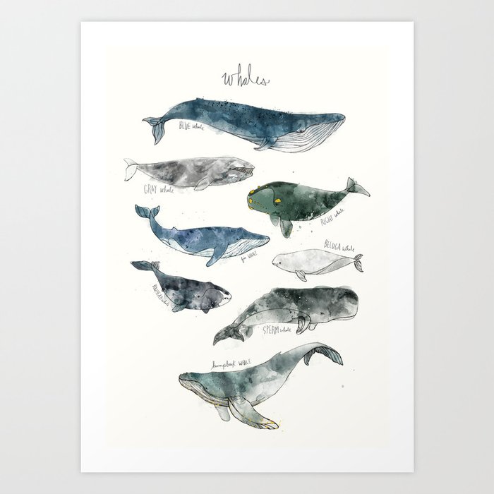 Whales Kunstdrucke Whales Kunstdrucke