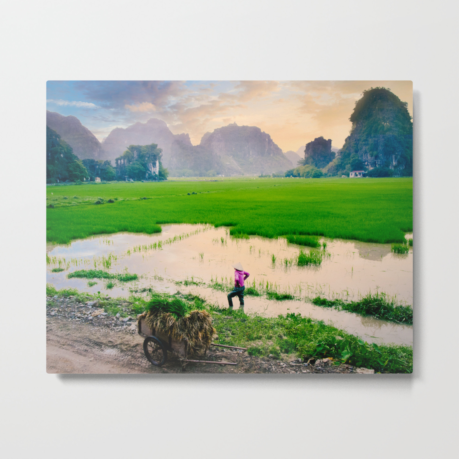 Paddy Fields Sunset Fine Art Print Travel Photography Wall Art Metal Print By Sidecarphoto Society6,Girl Drinking Coffee Drawing Tumblr