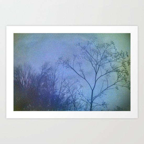 The Quiet of Winter Art Print