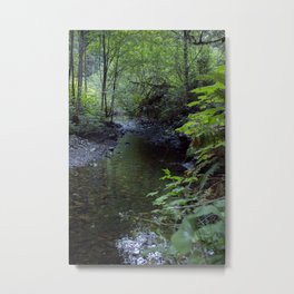 Lush Stream Metal Print | Green, Serene, Redwoods, Woods, Aesthetic, River, Pebbles, Forest, Mizu, Photo 
