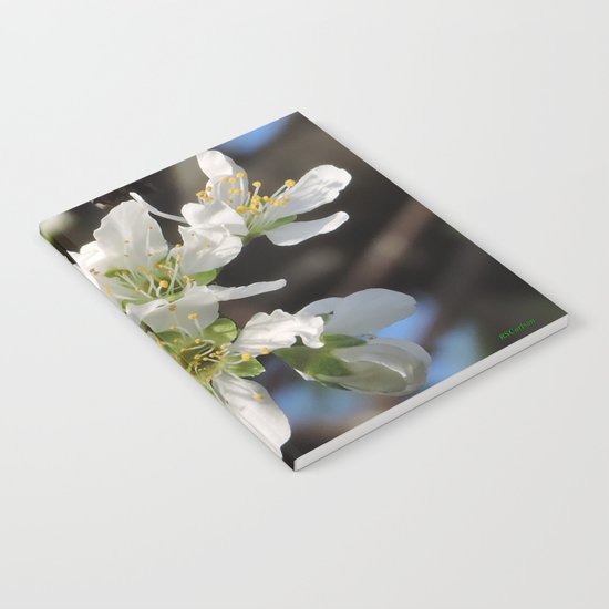 Plum Blossoms Notebook