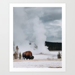 Bison Bull at Old Faithful Art Print
