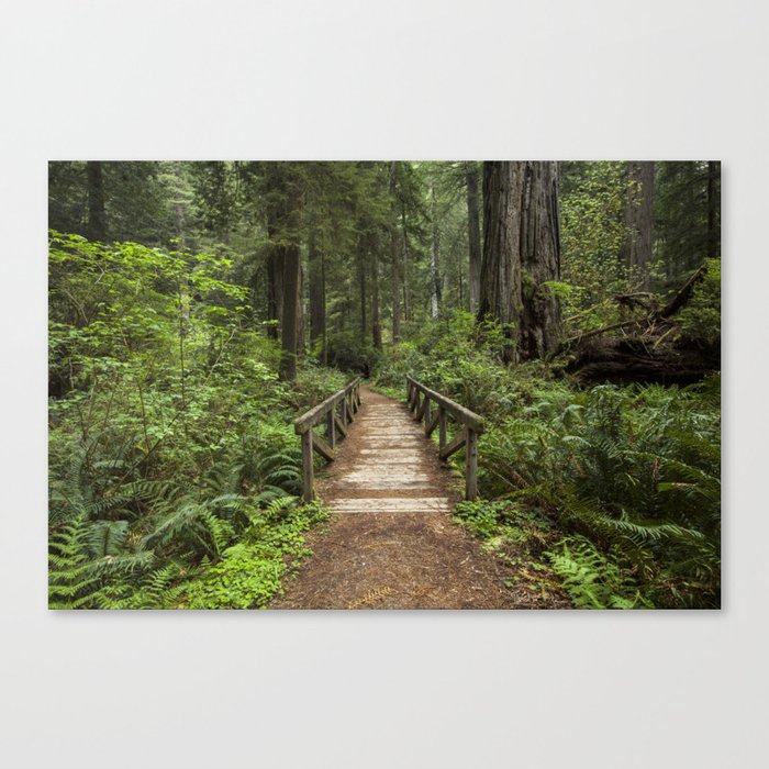 Canvas Print