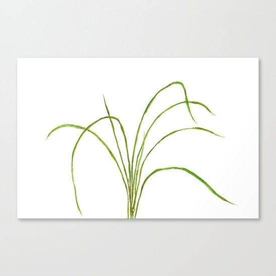 Grass Canvas Print
