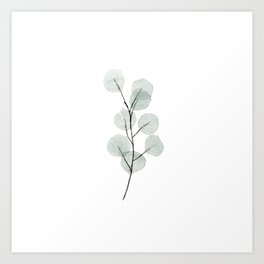 Eucalyptus Branch Art Print