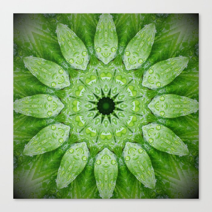 Green Mandala Plant Leinwanddruck Green Mandala Plant Leinwanddruck