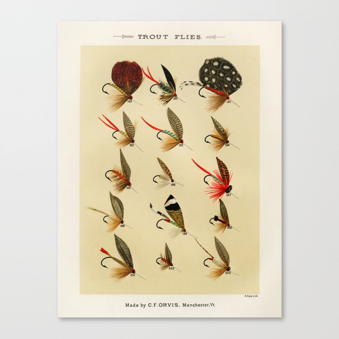 Illustrated Trout Fishing Flies Chart from Favorite Flies and Their