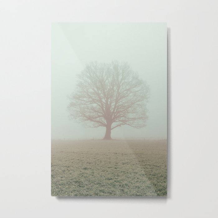 Oak tree Metal Print